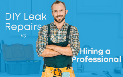 DIY Leak Repair vs. Hiring a Professional: Pros and Cons