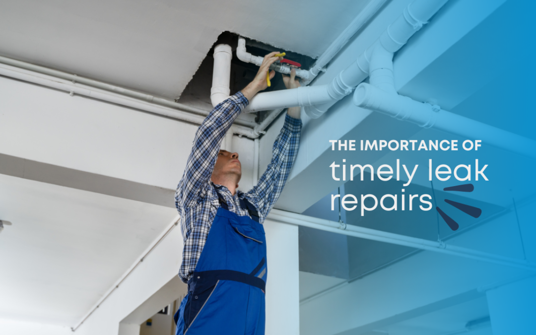 The Importance of Timely Leak Repairs