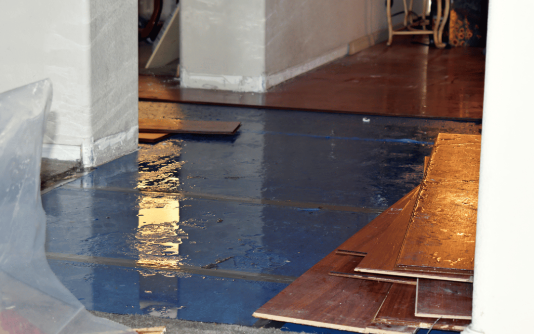 Detecting and Repairing Slab Leaks: What Homeowners Need to Know