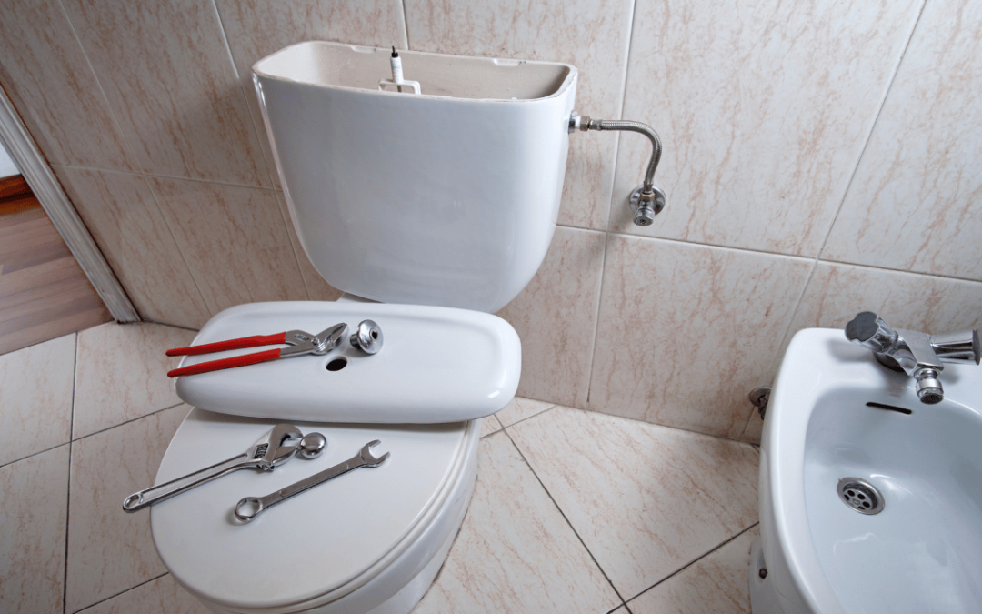 Why Is My Cistern Leaking_ Understanding and Repairing Common Issues